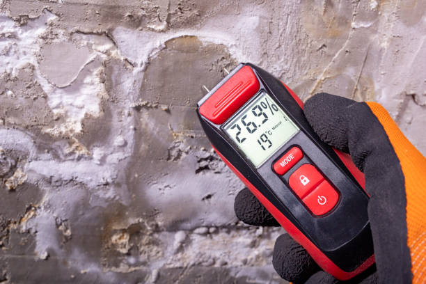 Best Mold Remediation  in Wellington, OH