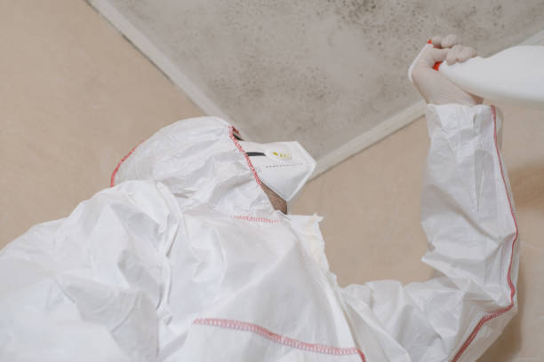 Best Mold Cleaning Services  in Wellington, OH